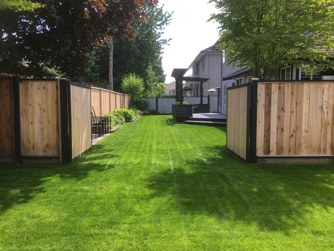 grass_driveway 2